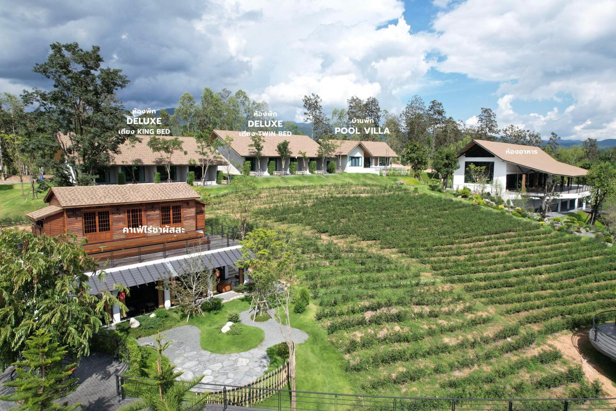Passa ผัสสะ Tea Plantation @Mae On Hotel Ban Huai Kaeo Bagian luar foto